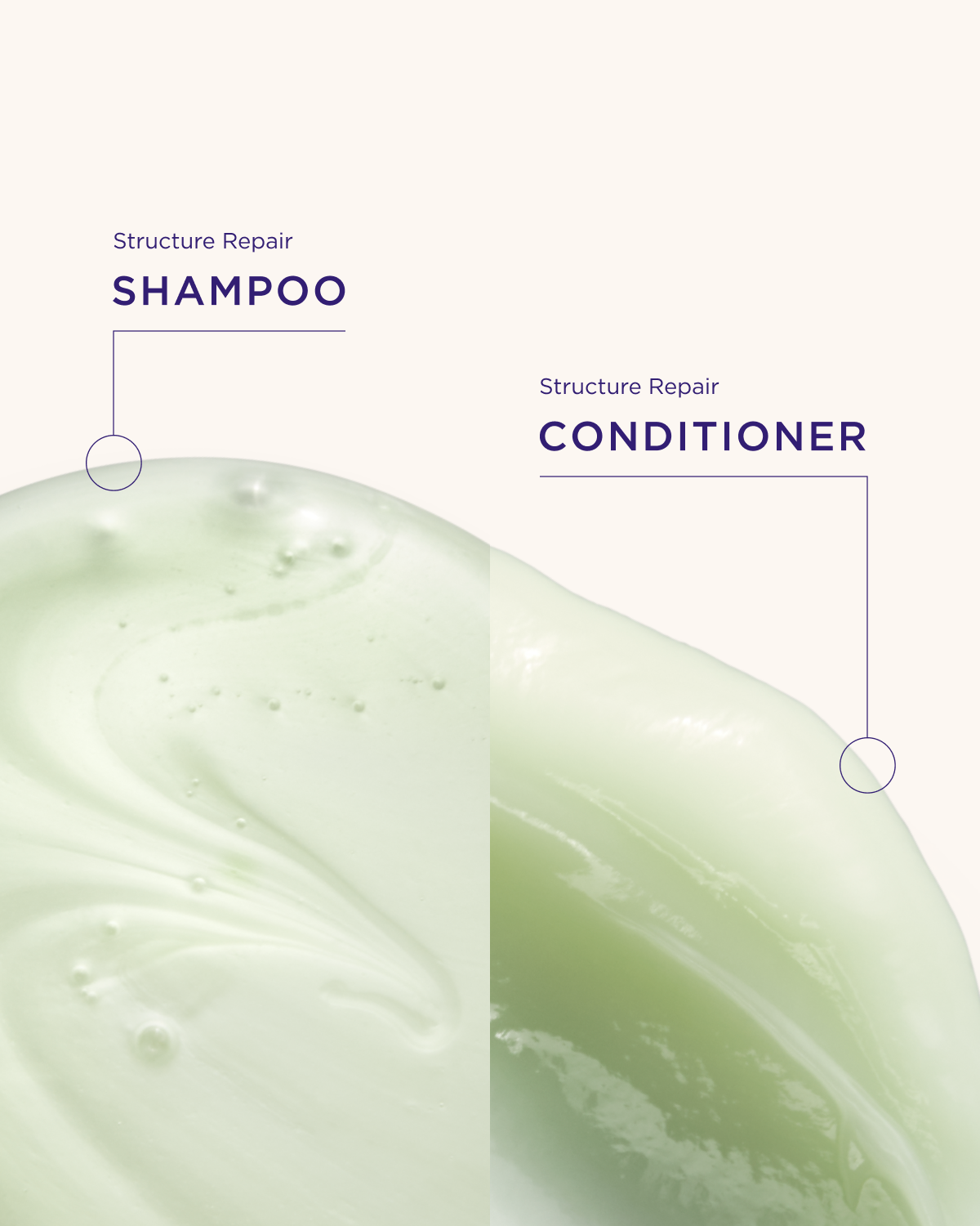 Close-up of shampoo and conditioner with labels on a white background