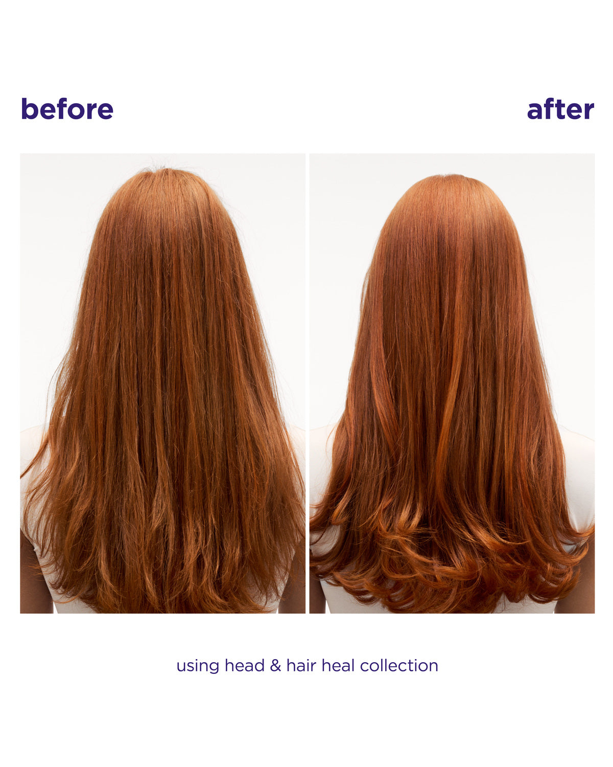 Head & Hair Heal Conditioner Liter