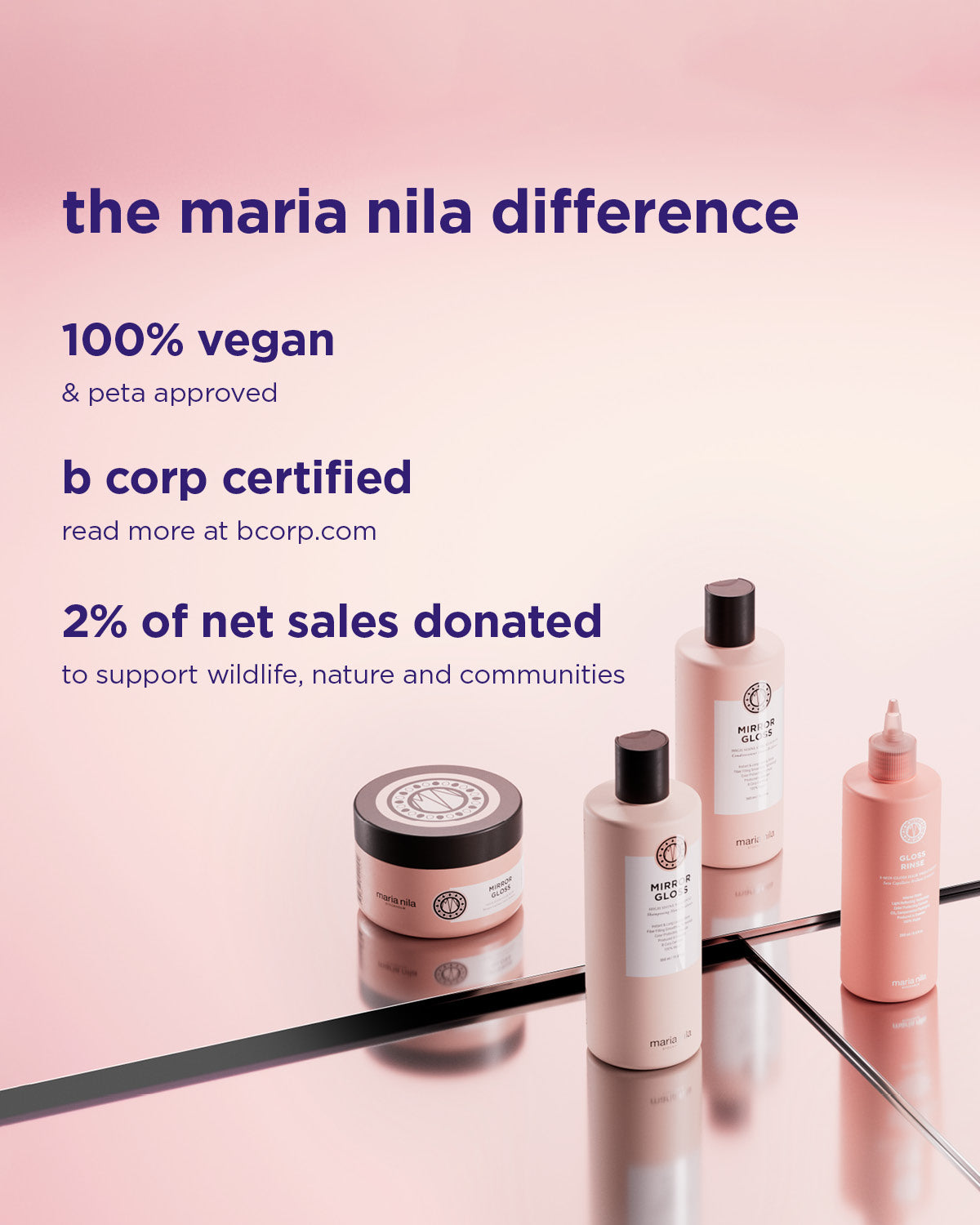 Mirror Gloss Shampoo Travel